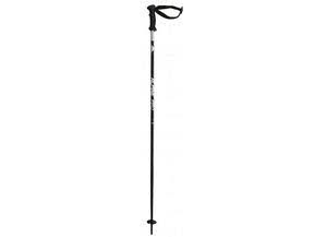 ALPINE PRO 2.0 Skistock,schwarz-sil